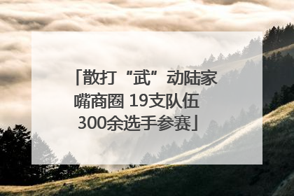 散打“武”动陆家嘴商圈 19支队伍300余选手参赛