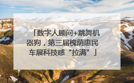 数字人顾问+跳舞机器狗，第三届槐荫惠民车展科技感“拉满”