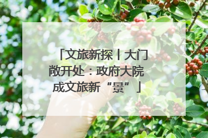 文旅新探丨大门敞开处：政府大院成文旅新“景”