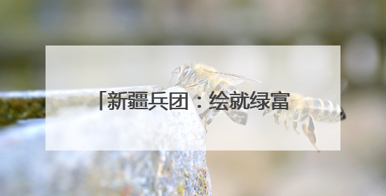 新疆兵团：绘就绿富同兴乡村振兴新图景