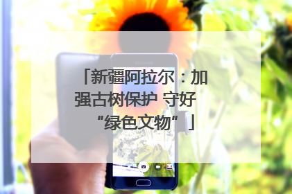 新疆阿拉尔：加强古树保护 守好“绿色文物”