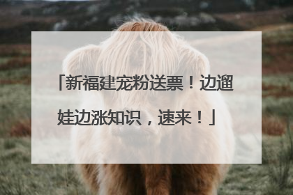 新福建宠粉送票！边遛娃边涨知识，速来！
