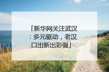 新华网关注武汉：多元驱动，老汉口出新出彩强