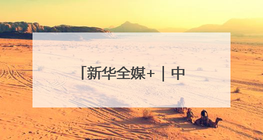 新华全媒+｜中欧班列累计开行110000列