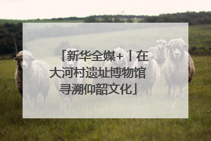 新华全媒+丨在大河村遗址博物馆寻溯仰韶文化