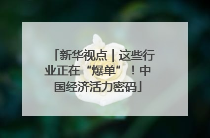 新华视点｜这些行业正在“爆单”！中国经济活力密码