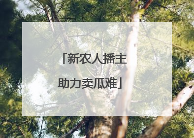 新农人播主 助力卖瓜难