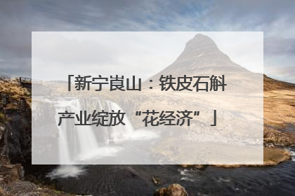 新宁崀山：铁皮石斛产业绽放“花经济”