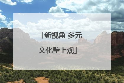 新视角 多元文化壁上观