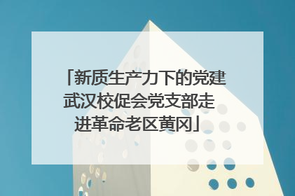 新质生产力下的党建 武汉校促会党支部走进革命老区黄冈