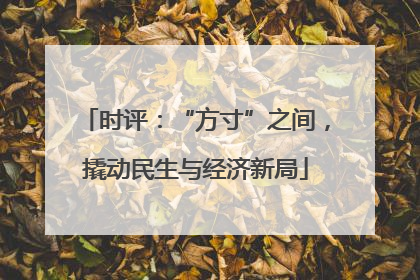 时评：“方寸”之间，撬动民生与经济新局
