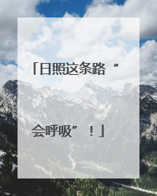 日照这条路“会呼吸”！