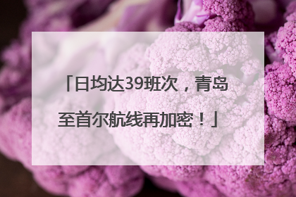 日均达39班次，青岛至首尔航线再加密！