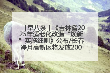 早八条丨《吉林省2025年适老化改造“焕新”实施细则》公布/长春净月高新区将发放200万元汽车消费券！