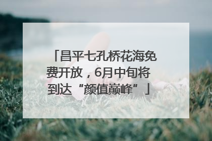 昌平七孔桥花海免费开放，6月中旬将到达“颜值巅峰”