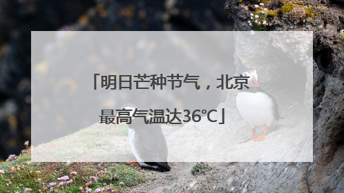 明日芒种节气，北京最高气温达36℃