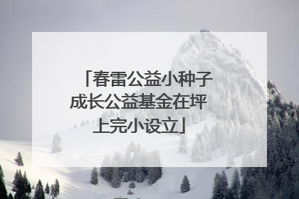 春雷公益小种子成长公益基金在坪上完小设立