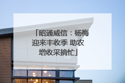 昭通威信：杨梅迎来丰收季 助农增收采摘忙