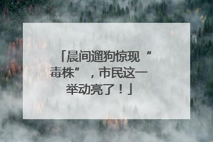 晨间遛狗惊现“毒株”，市民这一举动亮了！