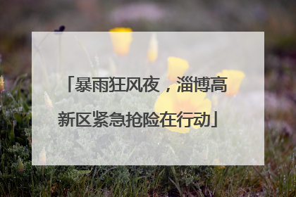暴雨狂风夜，淄博高新区紧急抢险在行动