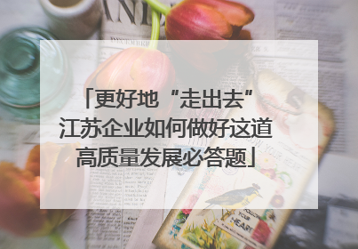 更好地“走出去” 江苏企业如何做好这道高质量发展必答题