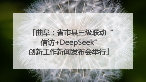 曲阜：省市县三级联动“信访+DeepSeek”创新工作新闻发布会举行