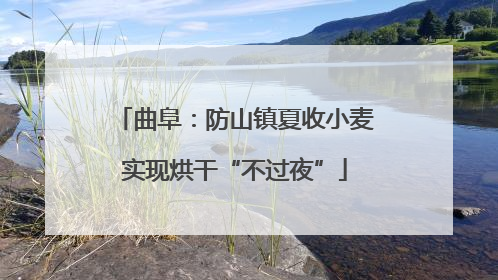 曲阜：防山镇夏收小麦实现烘干“不过夜”