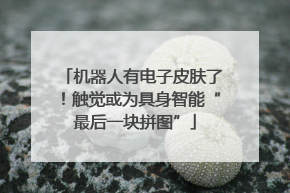 机器人有电子皮肤了！触觉或为具身智能“最后一块拼图”