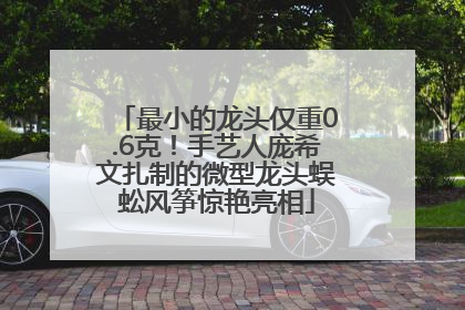 最小的龙头仅重0.6克！手艺人庞希文扎制的微型龙头蜈蚣风筝惊艳亮相