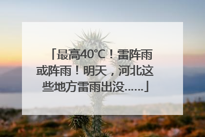 最高40℃！雷阵雨或阵雨！明天，河北这些地方雷雨出没……