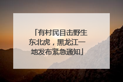 有村民目击野生东北虎，黑龙江一地发布紧急通知