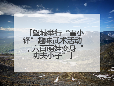 望城举行“雷小锋”趣味武术活动，六百萌娃变身“功夫小子”