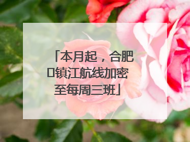 本月起，合肥⇋镇江航线加密至每周三班