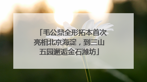 毛公鼎全形拓本首次亮相北京海淀，到三山五园邂逅金石潍坊
