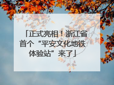 正式亮相！浙江省首个“平安文化地铁体验站”来了