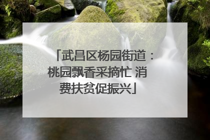 武昌区杨园街道：桃园飘香采摘忙 消费扶贫促振兴