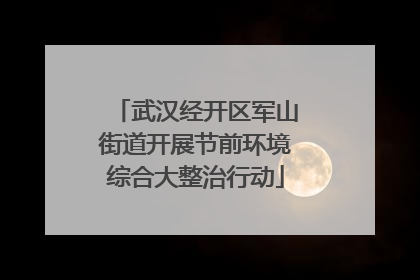 武汉经开区军山街道开展节前环境综合大整治行动