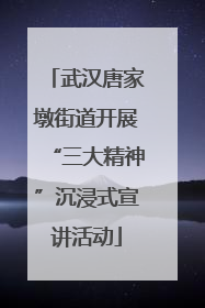 武汉唐家墩街道开展“三大精神”沉浸式宣讲活动