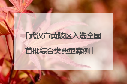 武汉市黄陂区入选全国首批综合类典型案例