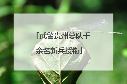 武警贵州总队千余名新兵授衔