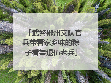 武警郴州支队官兵带着家乡味的粽子看望退伍老兵