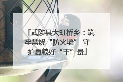 武陟县大虹桥乡：筑牢禁烧“防火墙” 守护夏粮好“丰”景