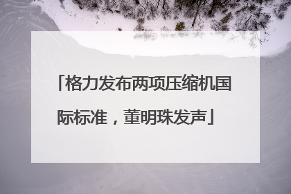 格力发布两项压缩机国际标准，董明珠发声