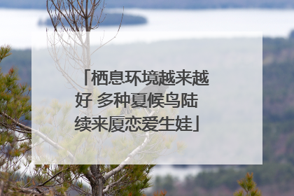 栖息环境越来越好 多种夏候鸟陆续来厦恋爱生娃