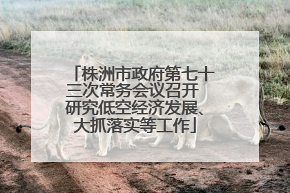 株洲市政府第七十三次常务会议召开 研究低空经济发展、大抓落实等工作