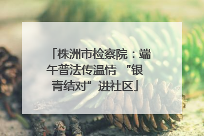 株洲市检察院：端午普法传温情 “银青结对”进社区