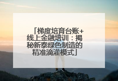 梯度培育台账+线上金融培训：揭秘新泰绿色制造的精准滴灌模式