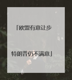 欧盟有意让步 特朗普仍不满意