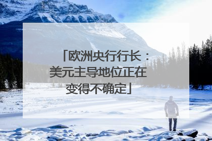欧洲央行行长：美元主导地位正在变得不确定