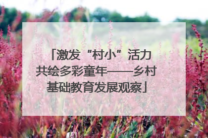激发“村小”活力 共绘多彩童年——乡村基础教育发展观察